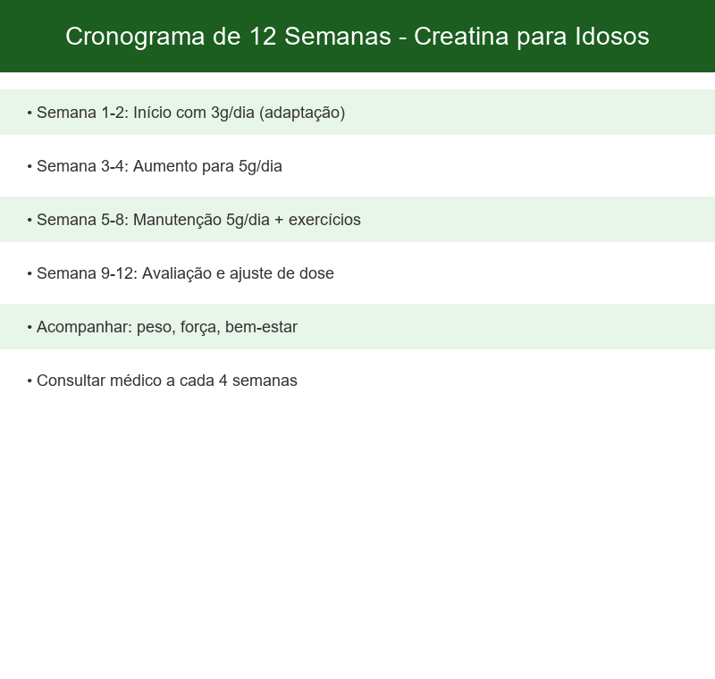 Cronograma visual de 12 semanas de suplementação de creatina para idosos, dividido em fases