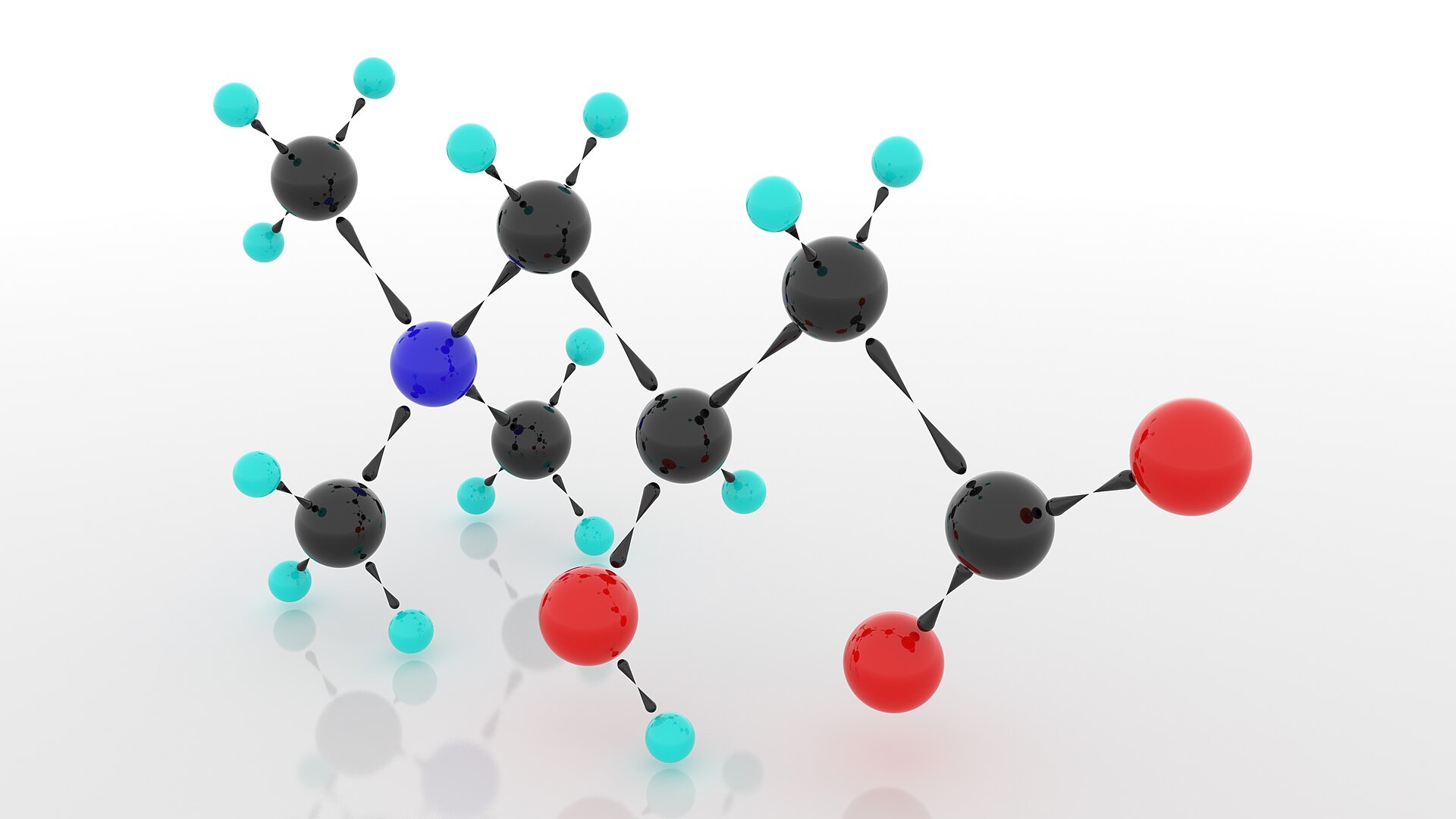 L-Carnitina: Para Que Serve, Benefícios e Como Tomar (2026)