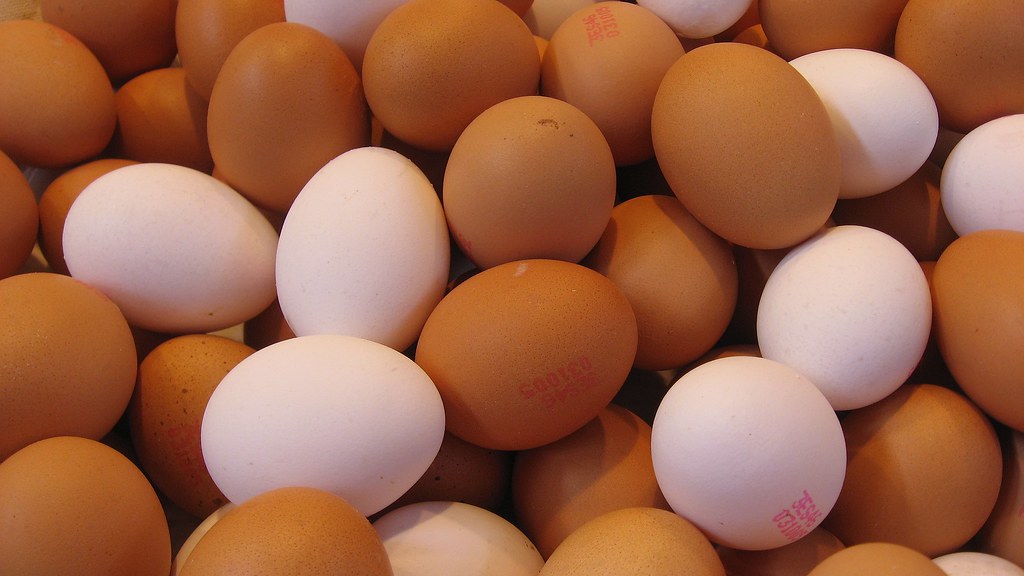 Alimentos proteicos ricos em fósforo